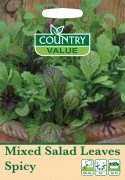 Mixed Salad Leaves Spicy