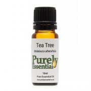 Oil Tea Tree 10ml