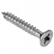 Woodscrews 10 x 2 1/2in 100s