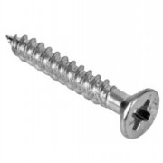 Woodscrews 10 x 3in 100s