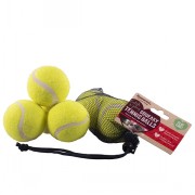 Rosewood Toy Tennis Balls 3s